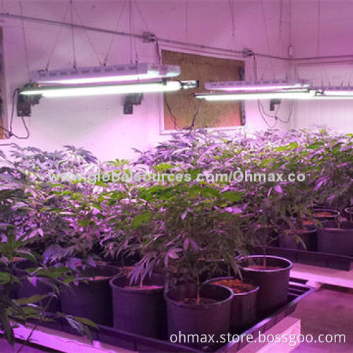 High-power 1200W LED grow lights, full color system, for medicinal plants, CE/FCC certified, RoHS